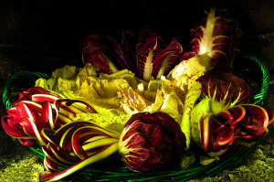 Festa-del-Radicchio