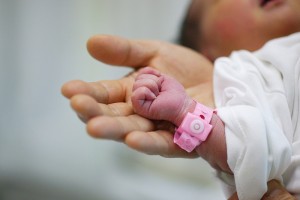 a baby's hand