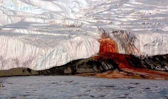 Le cascate di Sangue in Antartide